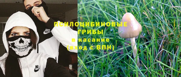 PSILOCYBIN Карпинск