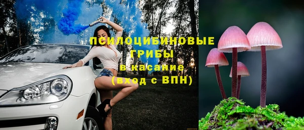 стаф Михайлов