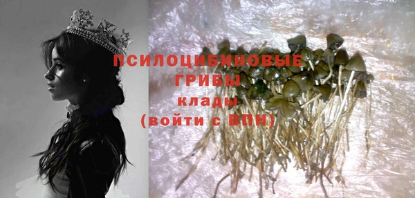 сатива Киреевск