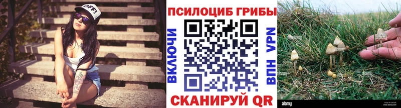 Галлюциногенные грибы Psilocybe ОМГ ОМГ рабочий сайт Артём